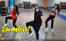 Zumba Dance Aerobic Workout - ANIMAL - Zumba Fitness For Weight Loss