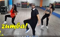 Zumba Dance Aerobic Workout - ANIMAL - Zumba Fitness For Weight Loss