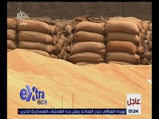 غرفة الأخبار | اليوم .. حسم مصير منظومة شراء القمح الموسم المقبل