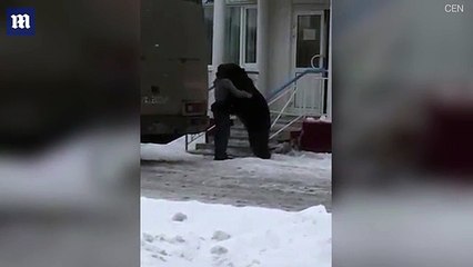 Man in Russia tries to jump on the back of a bear _ Daily Mail Online