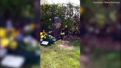 Mother amazed by robin 'sign' from her dead son _ Daily Mail Online