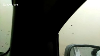 Dust storm brings very low visibility to Nevada highway