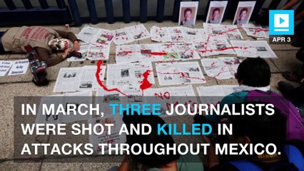'Adios!': Mexican newspaper shuts down after journalist's murder