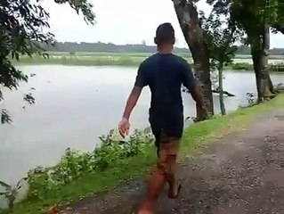 This is the best video i seen ever so you should be see this video at the end