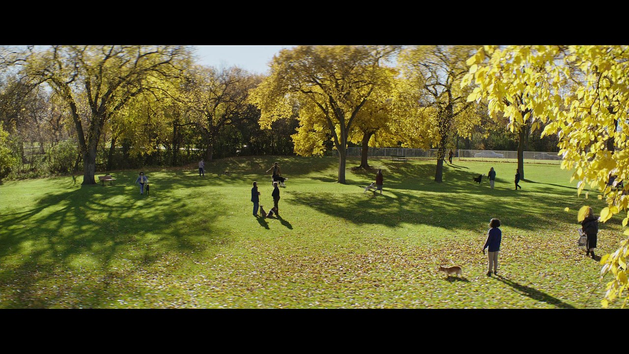 MES VIES DE CHIENS - Extrait - "Coup de foudre" - VF