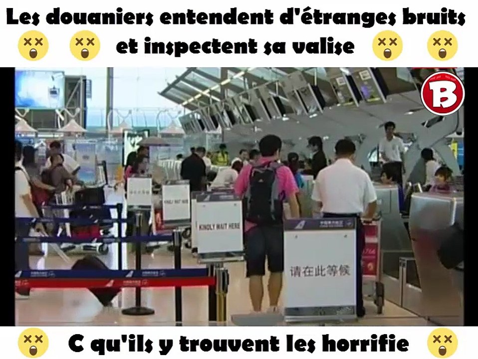 Les douaniers entendent d'étranges bruits et inspectent sa valise. C qu'ils y trouvent les horrifie.