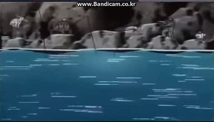 믿을수있는스포츠토토솔루션 CODSOFT 씨오디솔루션 입니다 바카라 최초도입 카톡: haricuty스카이프:cuty hary