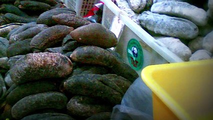 10 Most Hunted Animals