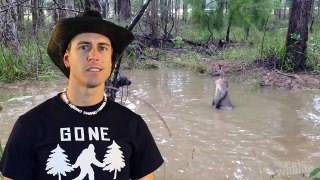 Kangaroo Tries to Drown Dog!