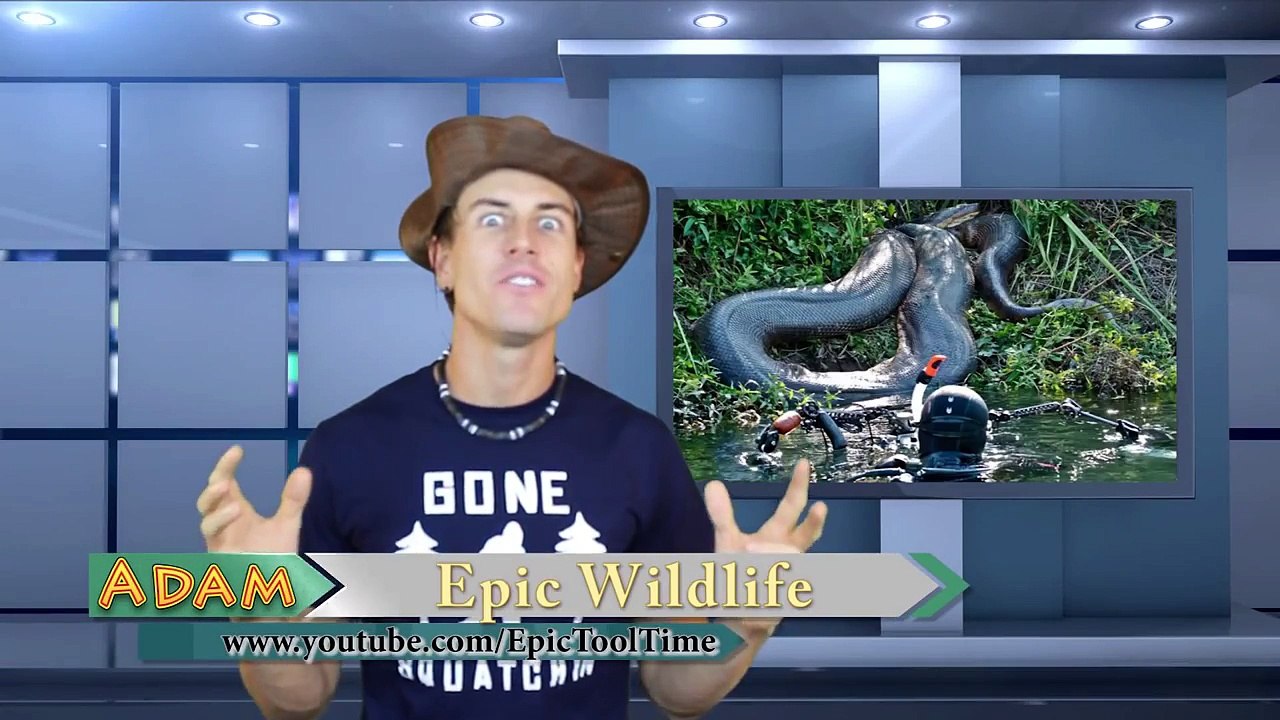 World's Deadliest Creatures & Most Mysterious Animal Species - Adam's Epic Wildlife Channel