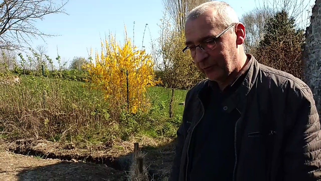 Antoing: les fascines appelées à se développer