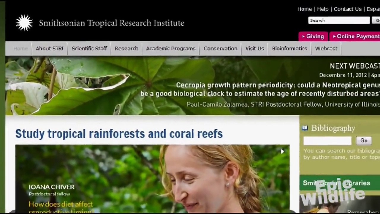 Titanoboa - World's Largest Prehistoric Snake