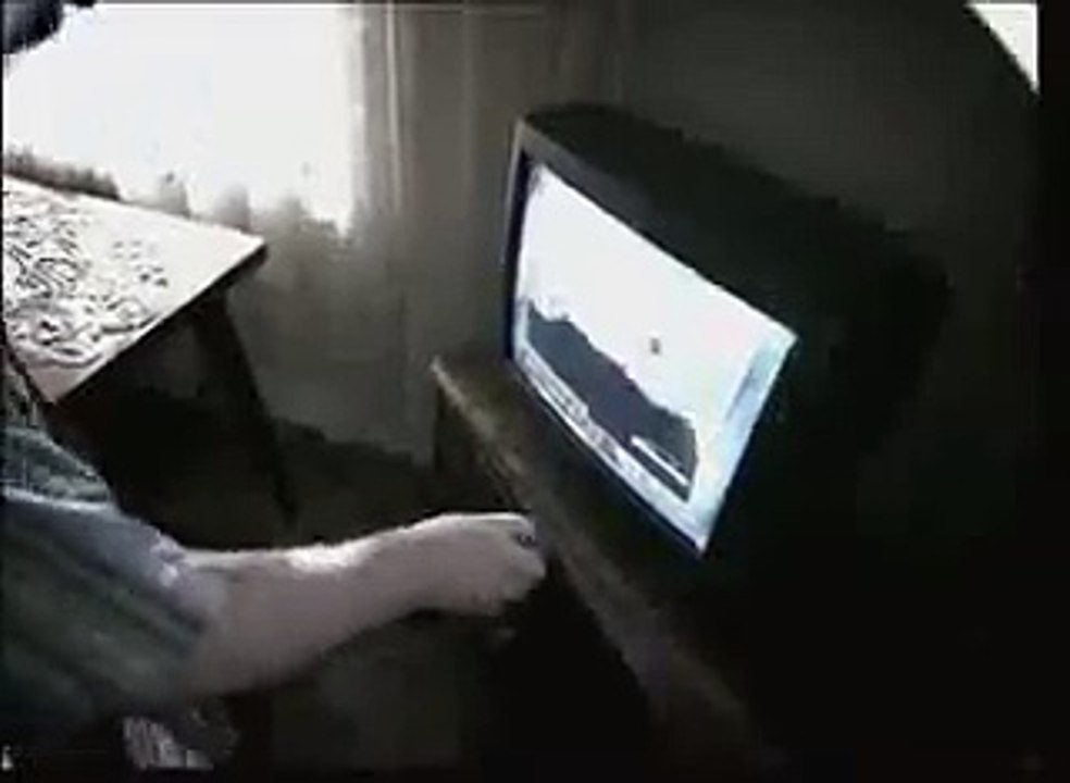 A perfect Setup to get rid of wife lol
