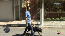 Motorista do Uber tenta recusar corrida de deficiente visual por causa do cão guia