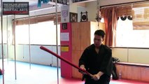 Swords Martial arts training Shinkage Ryu Demonstration #3  Fight Vision