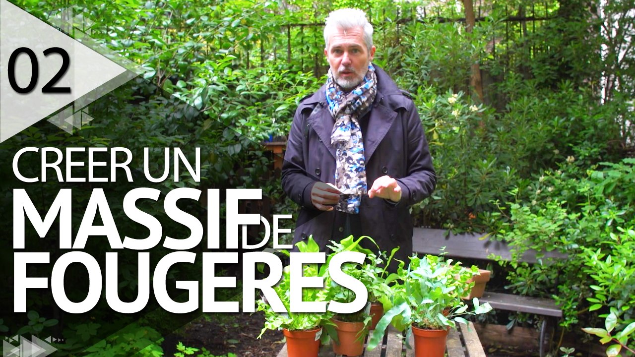 Création d'un massif de fougères - ÉPISODE 2