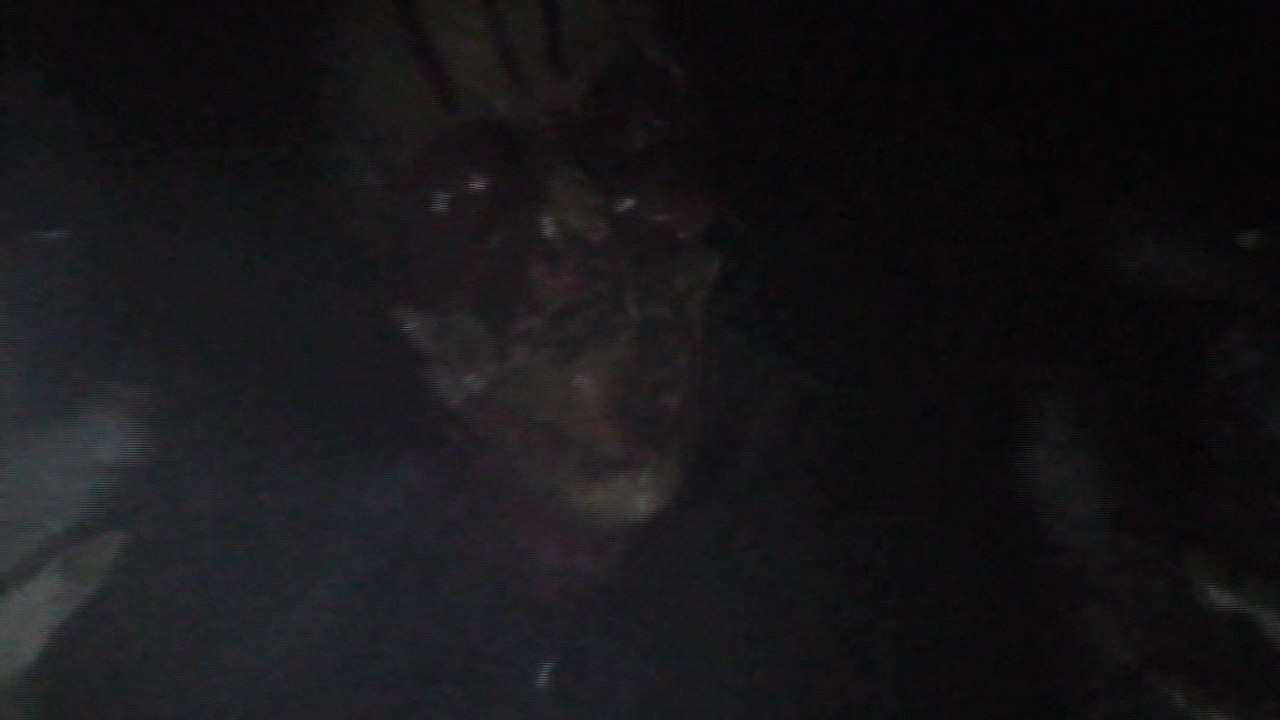 VideoDoom Episode IV: Dancing Dark (2012)