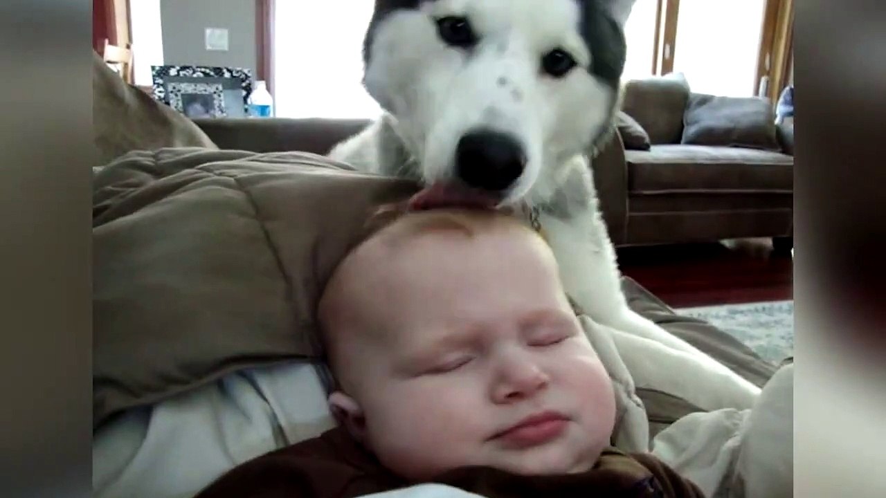 Petit nettoyage de crane pour bébé merci le chien