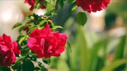 Τα  Ιονια Νησια της Ελλαδας