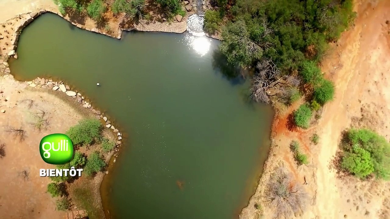 Les 1ères images du nouveau jeu "Safari Go!" présenté par Vincent Cerutti diffusé dès le samedi 22 avril sur Gulli