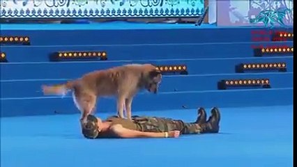 Σκύλος  σωζει Ζωές