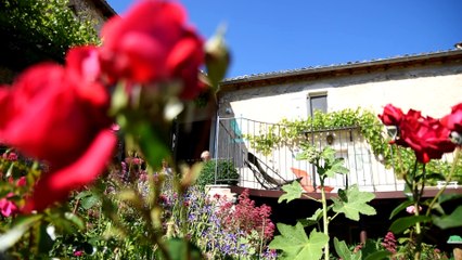 L’ Amandier, une pause bien-être en Drôme Jeûne, détox et randonnée un chemin vers soi pour mieux vivre avec les autres
