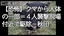 【恐怖】クマから人体の一部＝４人 襲撃現場付近で駆除－秋田