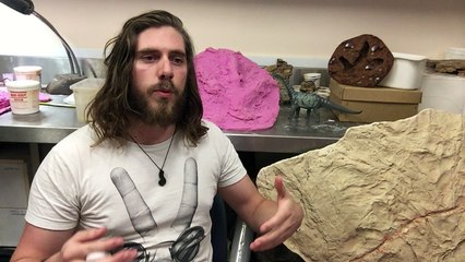 Ça fait plus de cinq ans qu'on documente les traces de dinosaures