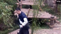 Baby Panda Wants To Play With Tired Zoo Keeper