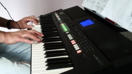 Un Ano Di Amor  ( C' est Irréparable) Reprise clavier