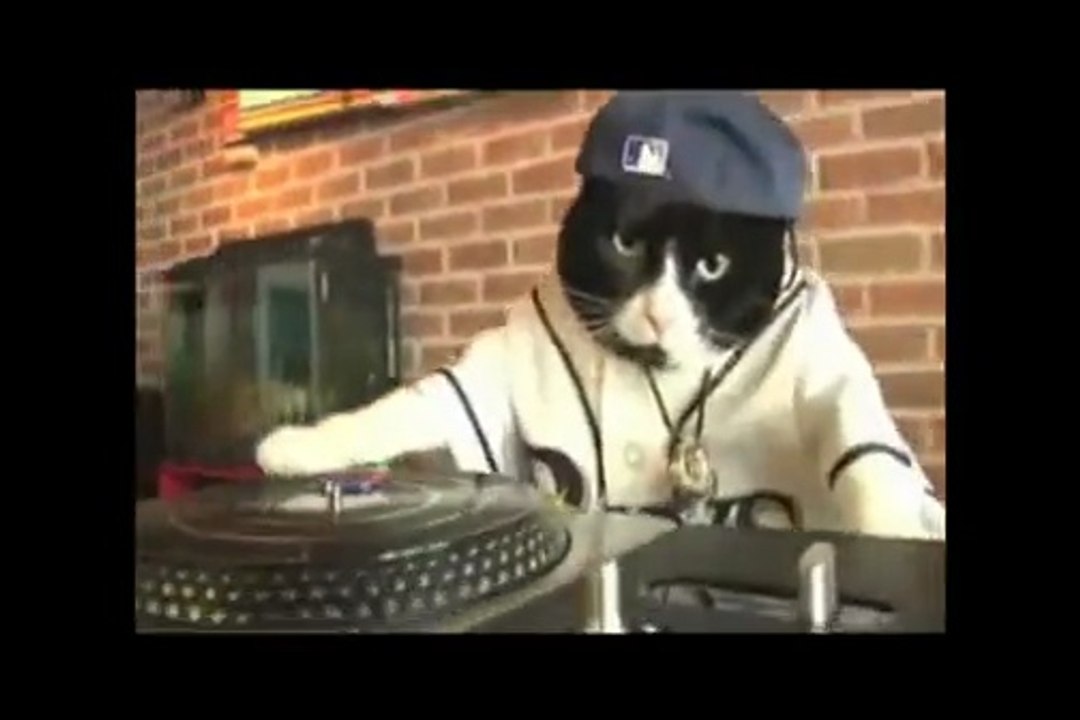 Jajdlel