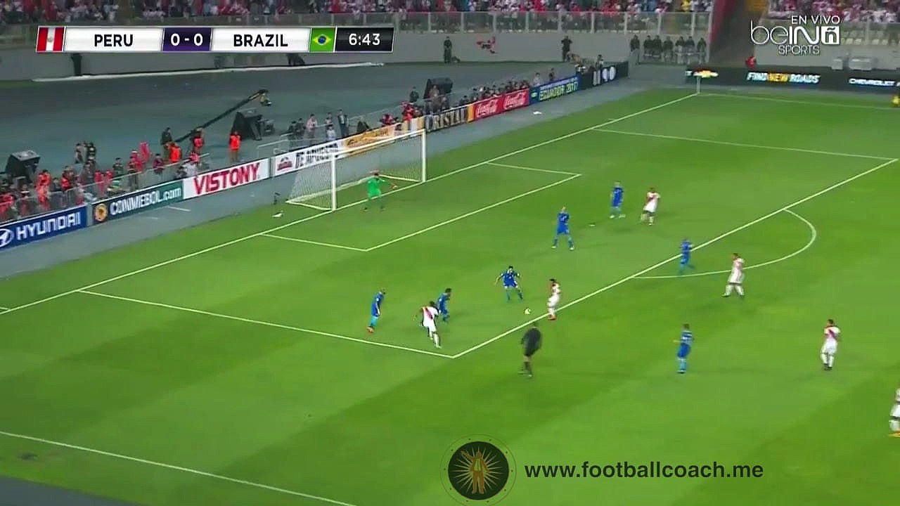 Dominio de la pared