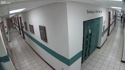 Polícia foge aterrorizado ao encontrar rato em corredor e cena torna-se viral