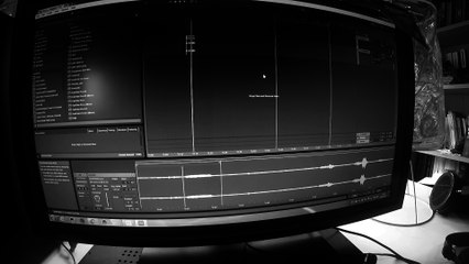 Il fait du Drum and bass avec les miaulements de son chat