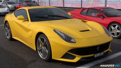 Ferrari F12 Berlinetta Cold Start and Engine Warm Up
