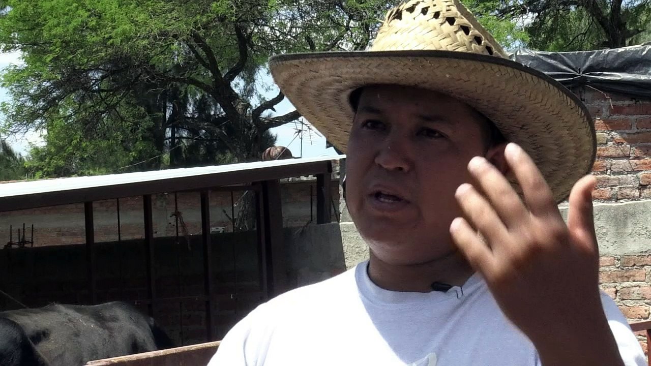 Una vida mejor gracias a remesas de EEUU a México