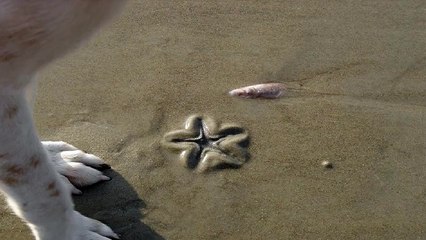 상봉오피 「아 달」 상봉건마 상봉휴게텔 상봉키스방 상봉마사지