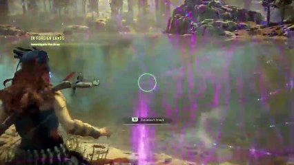 Wtf is this place? (3)