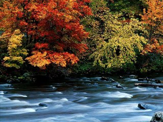 IMAGENS IMPRESSIONANTES DA NATUREZA