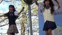 アイドル　NEO☆学院　20151031 第49回 柏の森祭