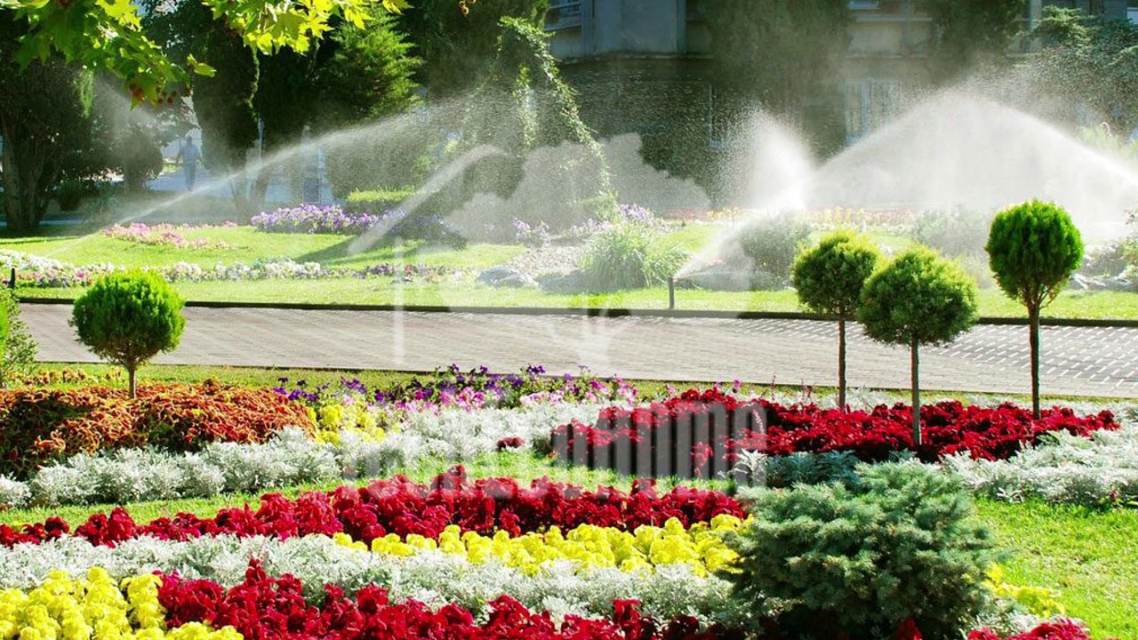Sprinkler Services in Toronto & GTA