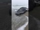 Humpback Whale Washes Up on New York City Beach