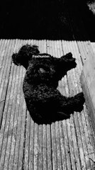 02 Apr 2017 - Adam Anderson via Instagram Story