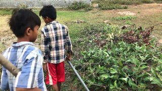 Wow! Two Amazing Boys Catch A Big Snake In Hole - How To Catch A Big Snake In Hole In Cambodia