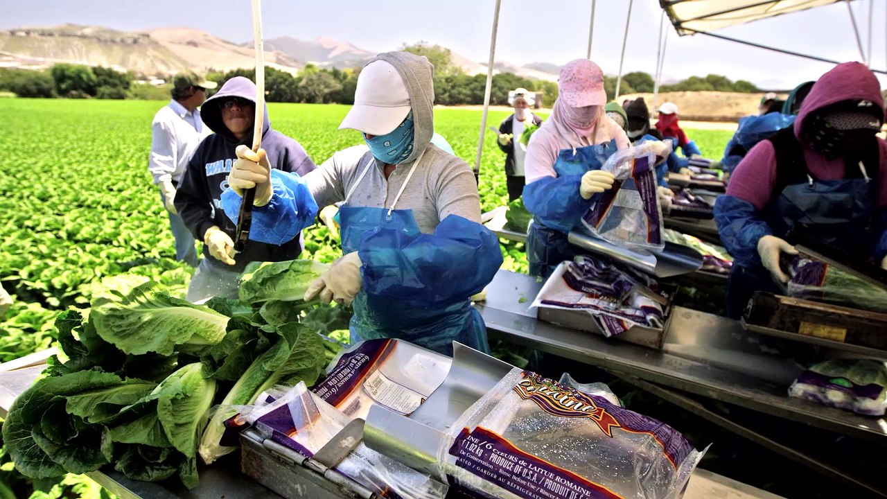 BLARE Agriculture Reel