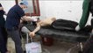 Más de medio centenar de muertos en supuesto ataque químico en norte sirio