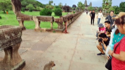 Angkor Wat estabilizado