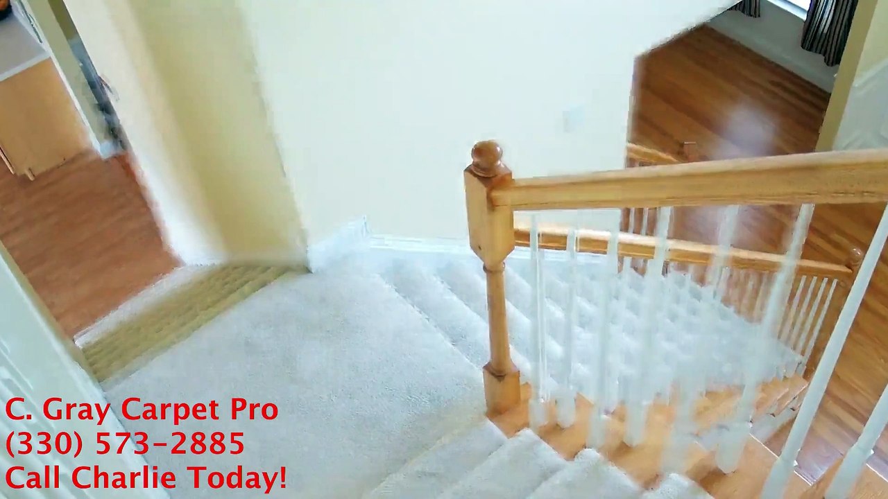 Rug Cleaning Willow Glen, Ohio ...