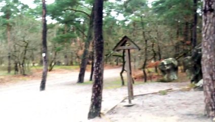 Introduccion a mi seminario sobre las enfermedades