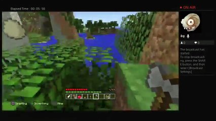 Minecraft lets play Mclrb ep1 (19)